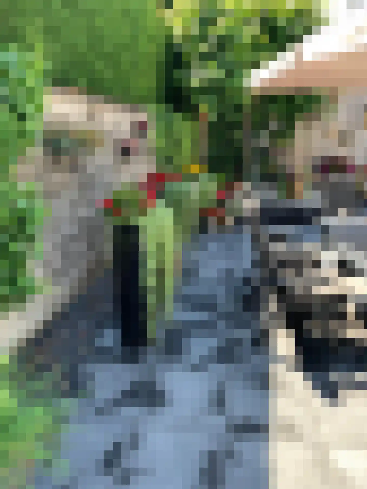 Hofstraat 2 Geldrop thumbnail 67