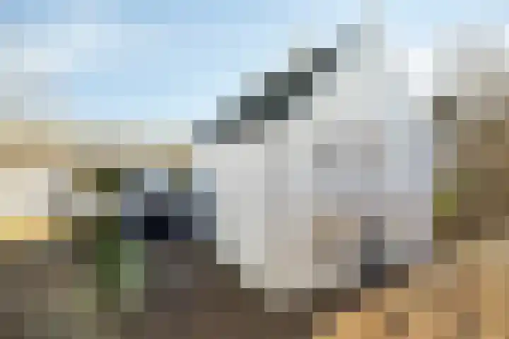 Hofstraat 2 Geldrop thumbnail 9