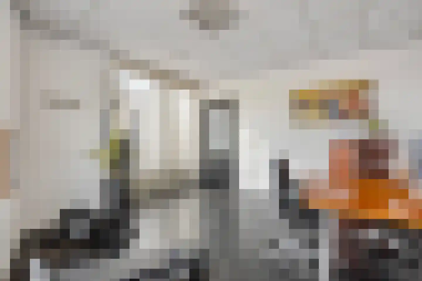 Hofstraat 2 Maasbracht thumbnail 10