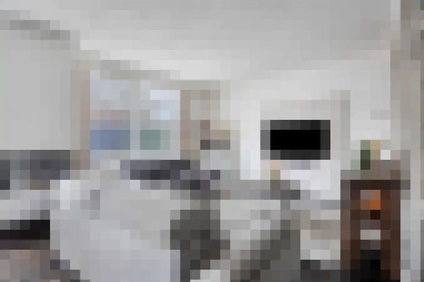 Hofstraat 2 Maasbracht thumbnail 12
