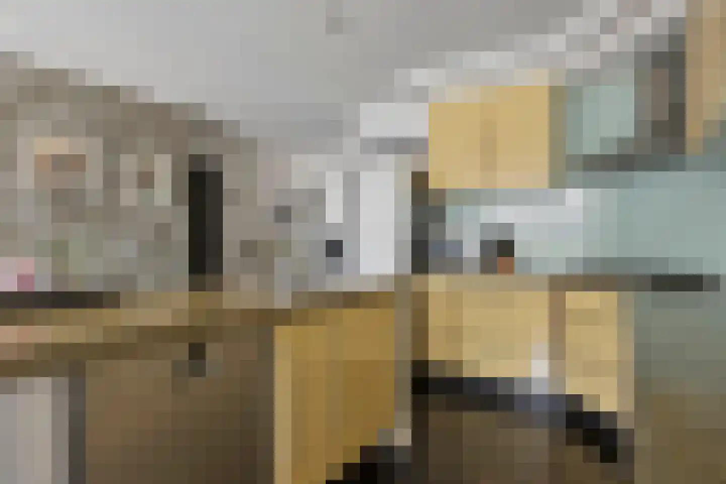 Hofstraat 2 Maasbracht thumbnail 18