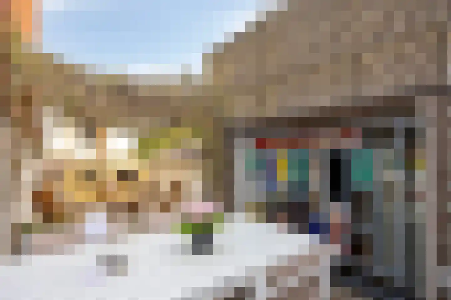 Hofstraat 2 Maasbracht thumbnail 33
