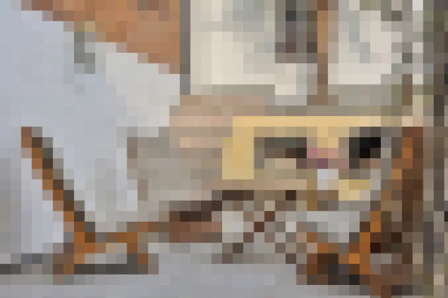 Hofstraat 2 Maasbracht thumbnail 35