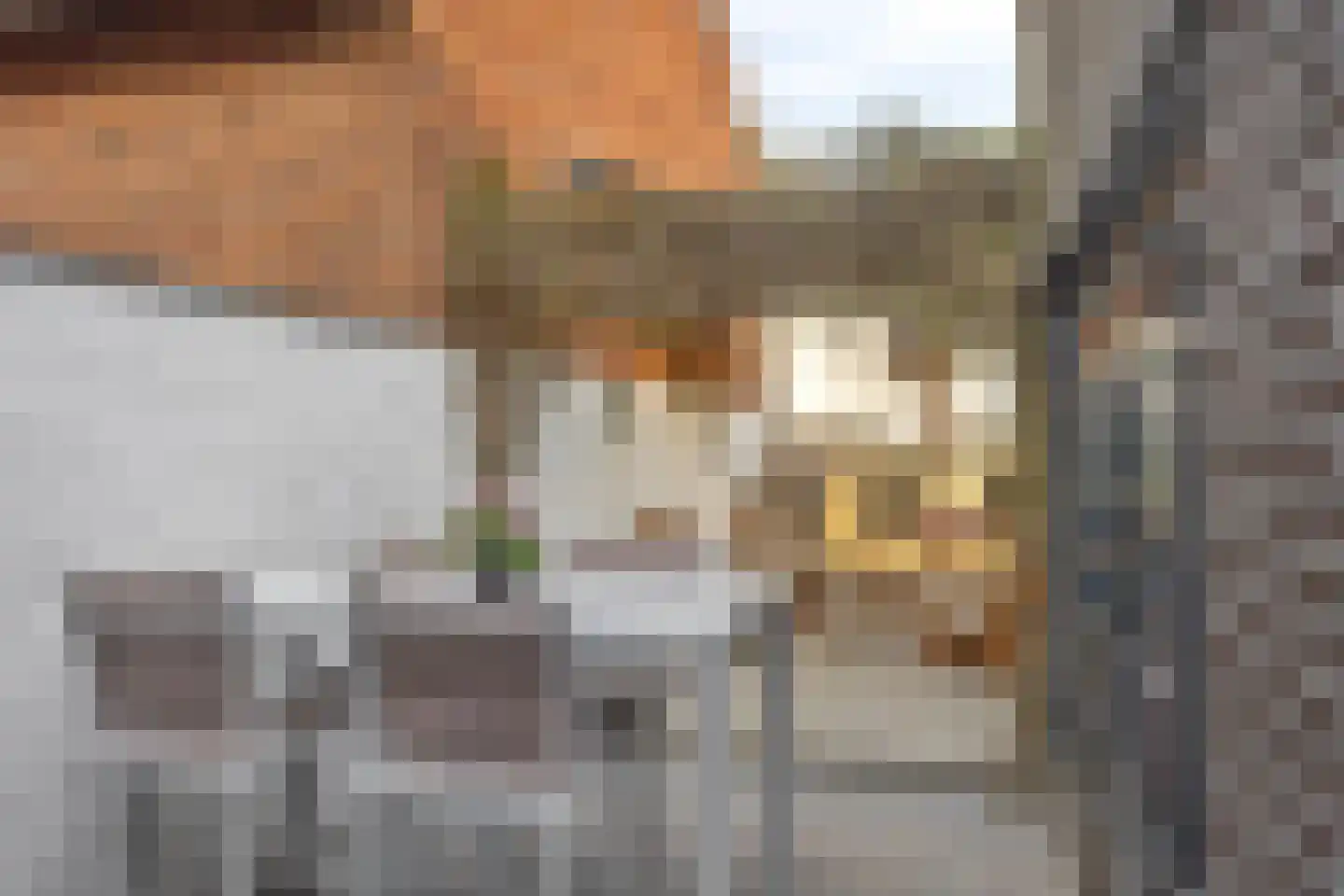 Hofstraat 2 Maasbracht thumbnail 36