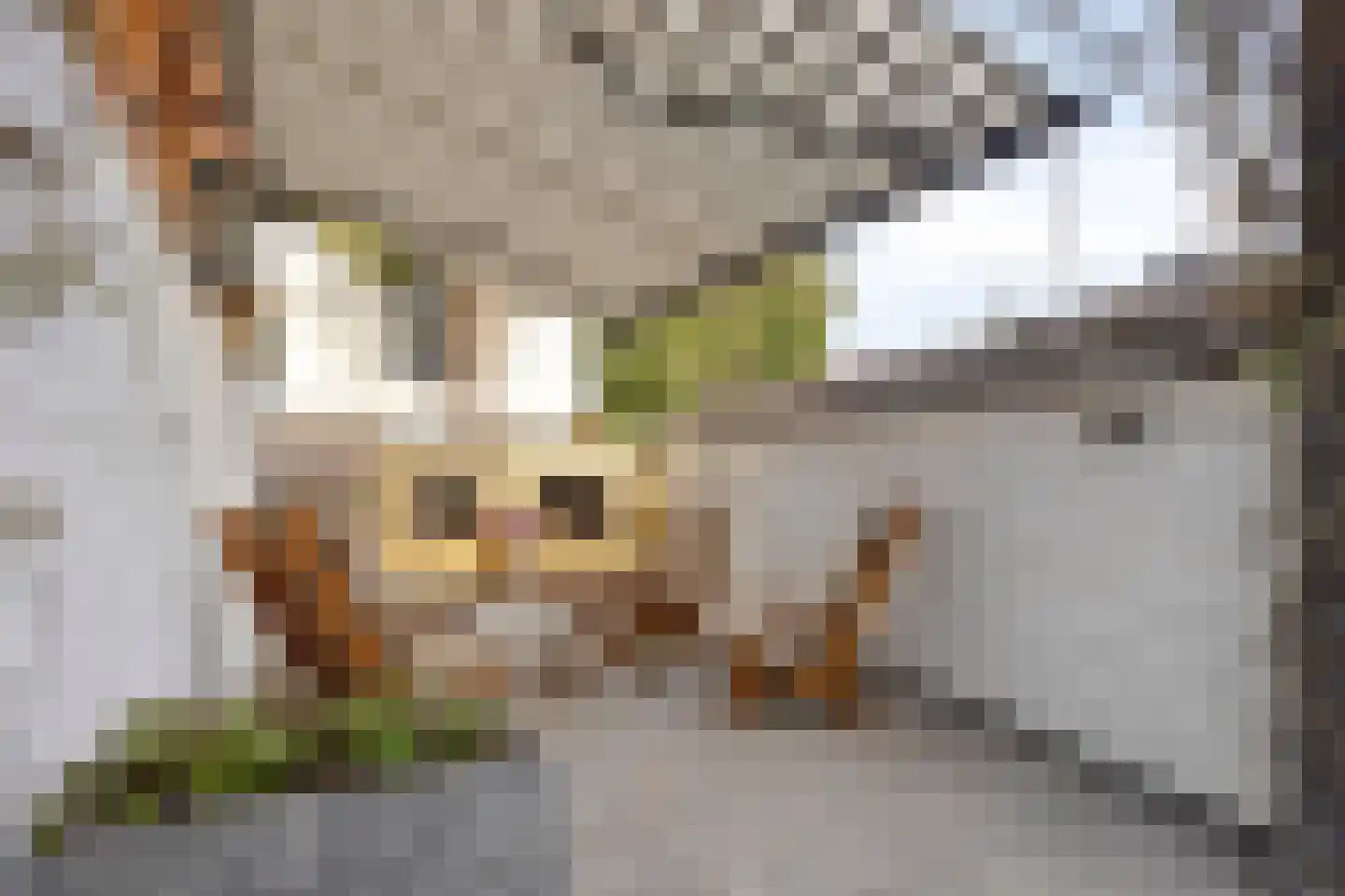 Hofstraat 2 Maasbracht thumbnail 37