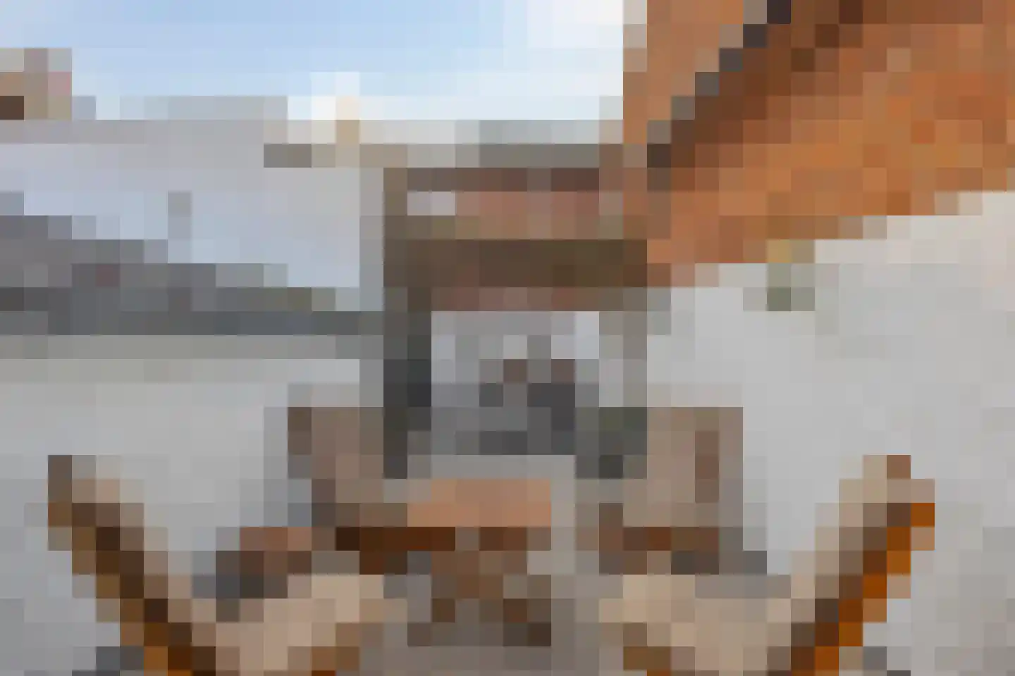 Hofstraat 2 Maasbracht thumbnail 39