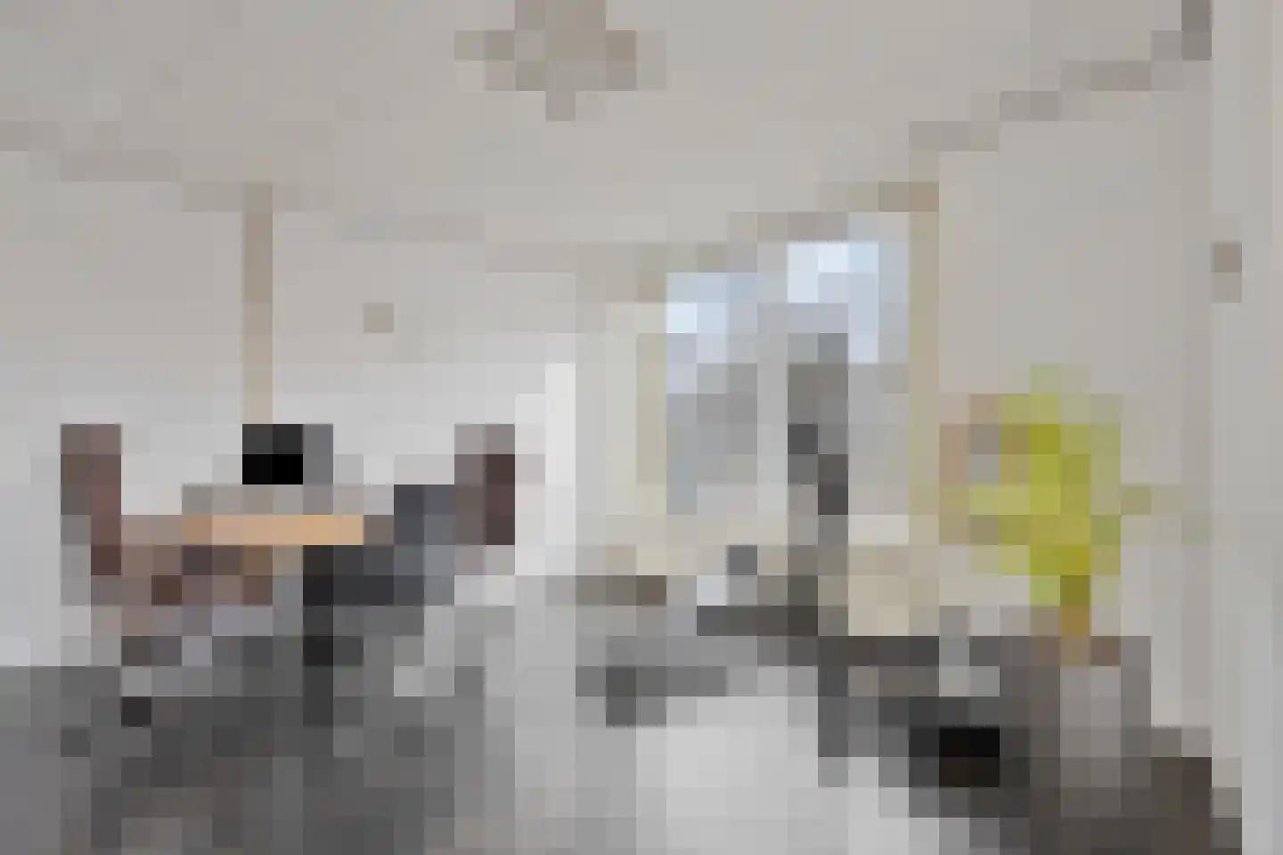 Hofstraat 2 Maasbracht thumbnail 9
