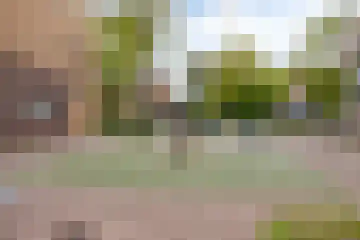 Hofstraat 2 Spijk thumbnail 11