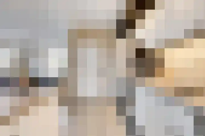 Hofstraat 2 Spijk thumbnail 27