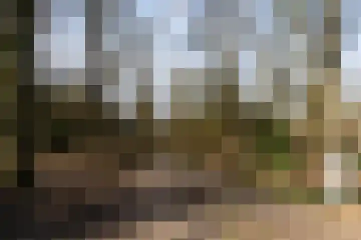 Hofstraat 2 Spijk thumbnail 29