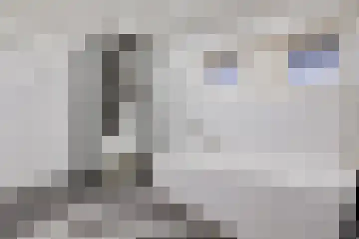Hofstraat 2 Spijk thumbnail 31