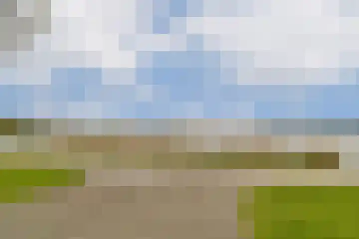 Hofstraat 2 Spijk thumbnail 67