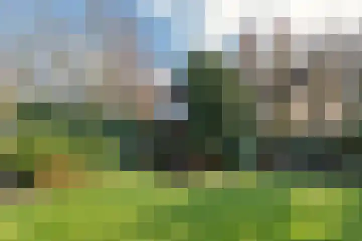 Hofstraat 20 Valkenswaard thumbnail 28