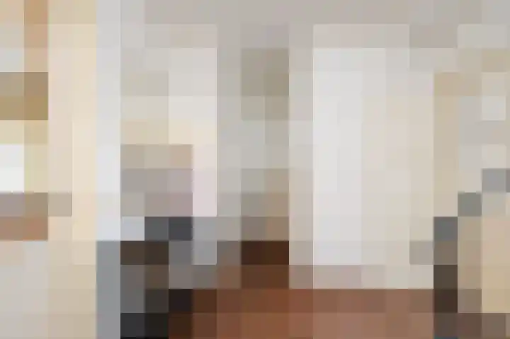 Hofstraat 20 Valkenswaard thumbnail 5