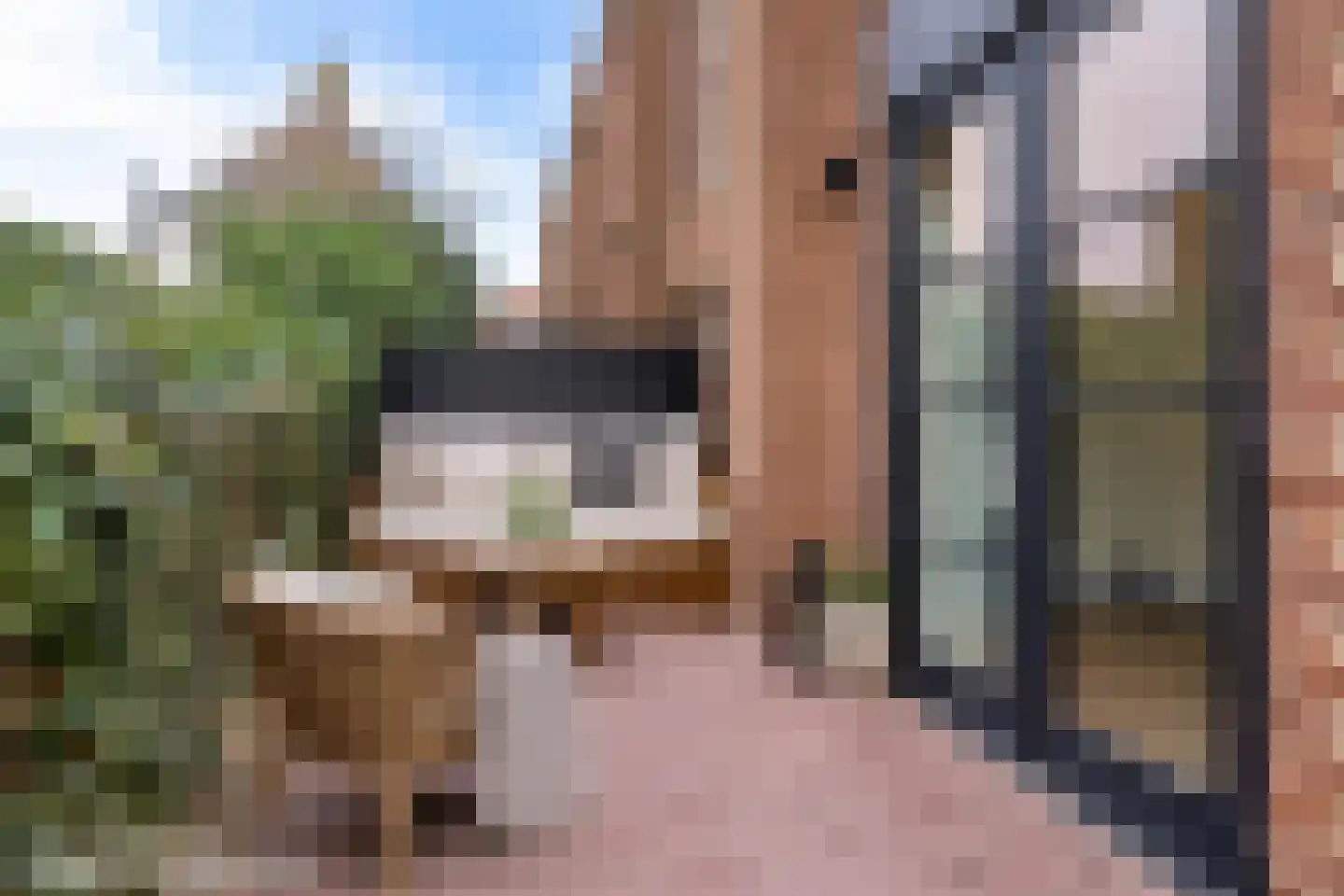 Hofstraat 21 A Franeker thumbnail 15