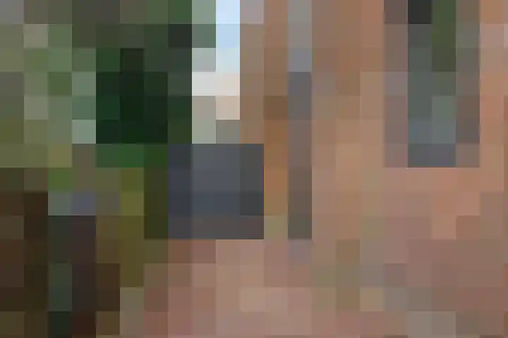 Hofstraat 21 Franeker thumbnail 5