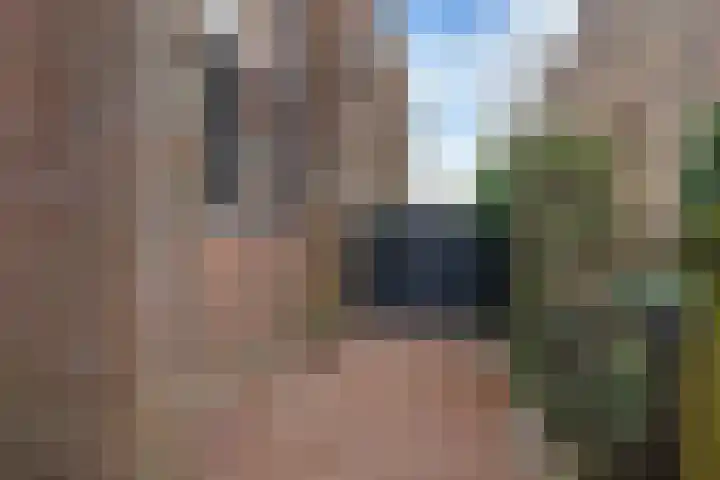 Hofstraat 21 Franeker thumbnail 6