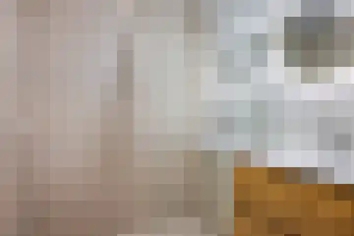 Hofstraat 21 Franeker thumbnail 9