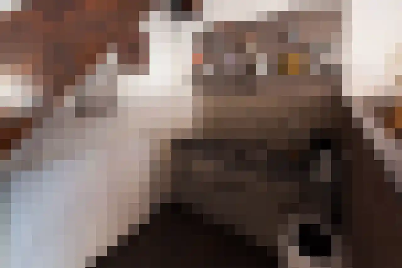 Hofstraat 21 Kampen thumbnail 11