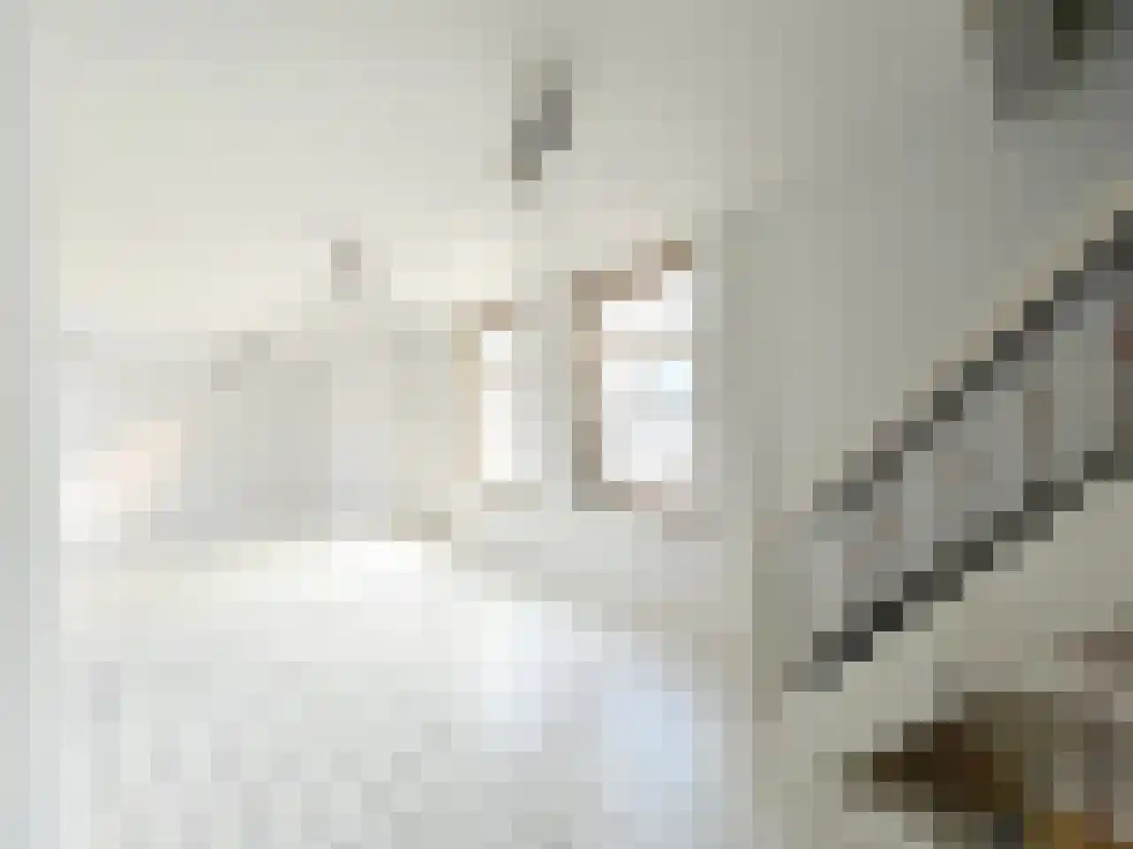 Hofstraat 21 Kampen thumbnail 15