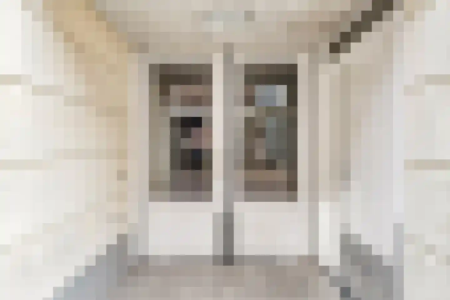 Hofstraat 23 03 Kampen thumbnail 6
