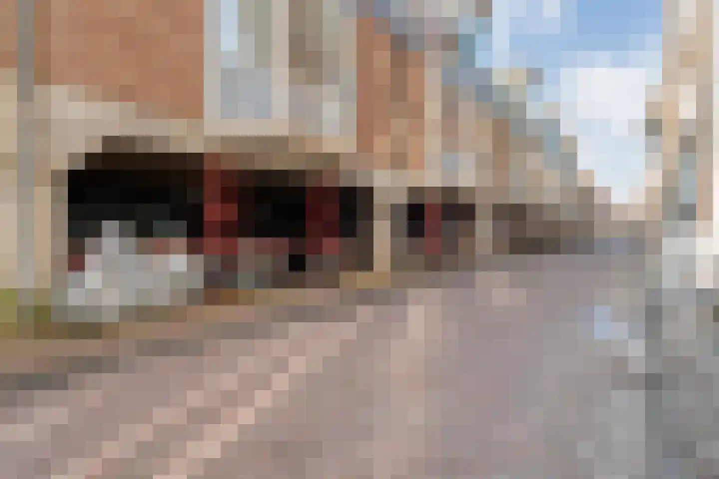 Hofstraat 23 05 Kampen thumbnail 28