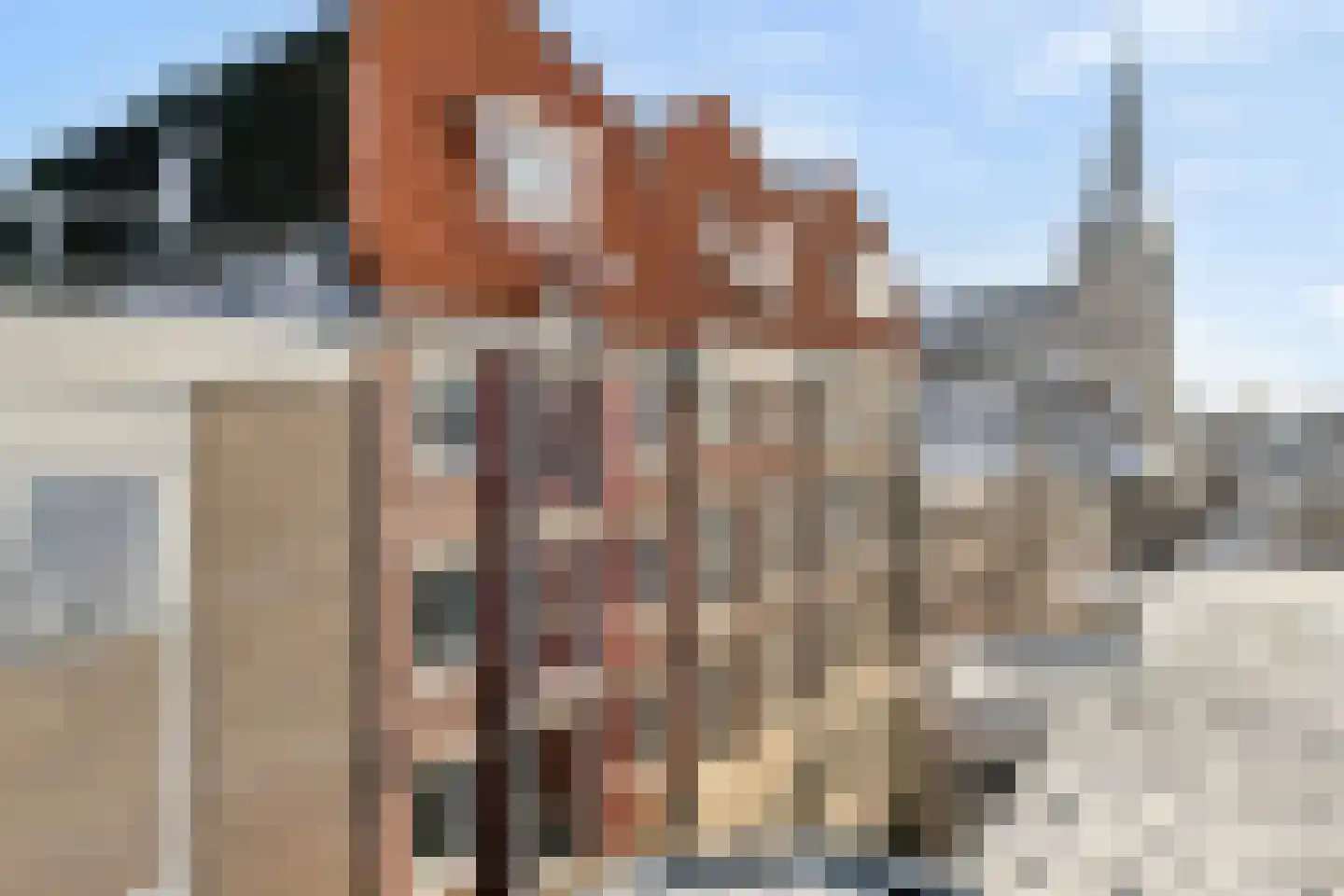 Hofstraat 23 05 Kampen thumbnail 29