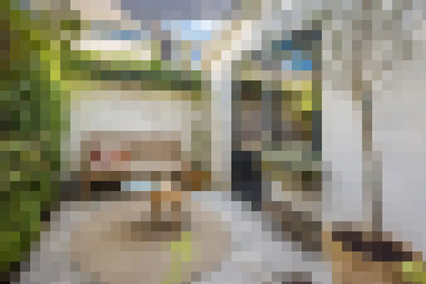 Hofstraat 23 Utrecht thumbnail 21