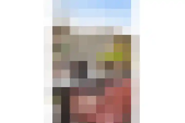 Hofstraat 24 Dalfsen thumbnail 29
