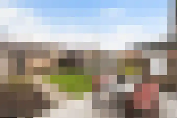 Hofstraat 24 Dalfsen thumbnail 4