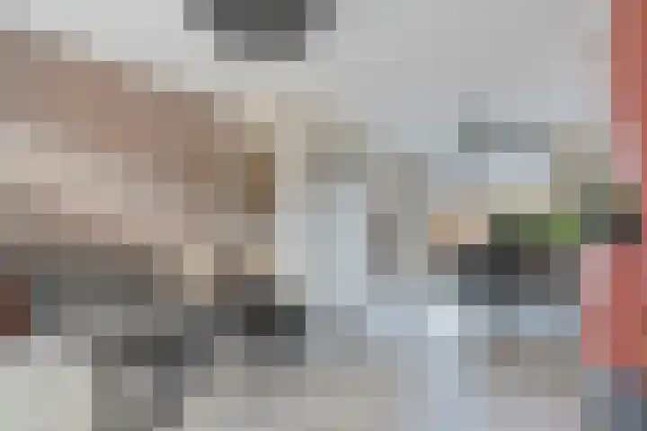 Hofstraat 24 Dalfsen thumbnail 8