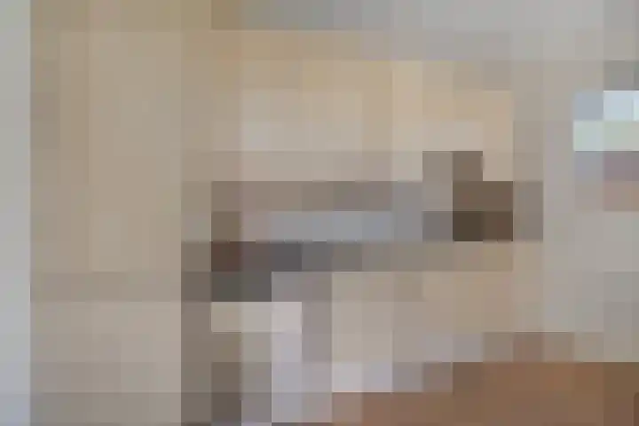 Hofstraat 24 Den Dungen thumbnail 10