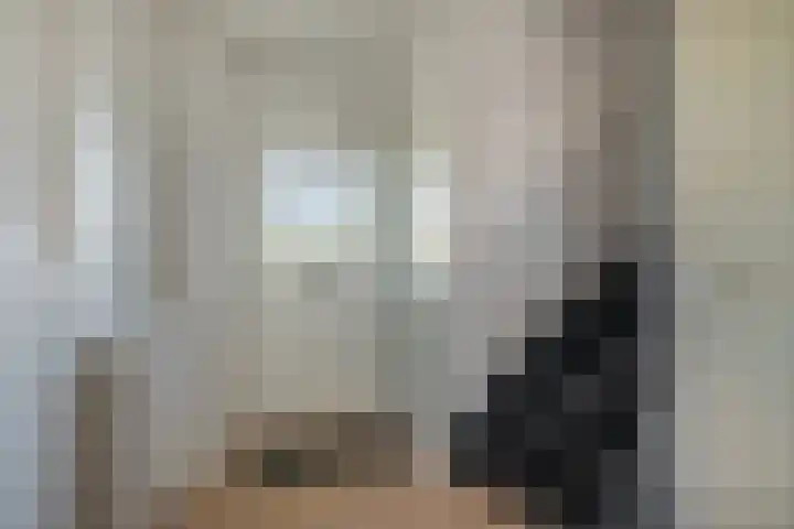 Hofstraat 24 Den Dungen thumbnail 12