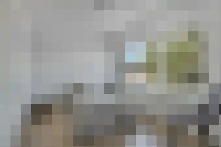 Hofstraat 24 Den Dungen thumbnail 13