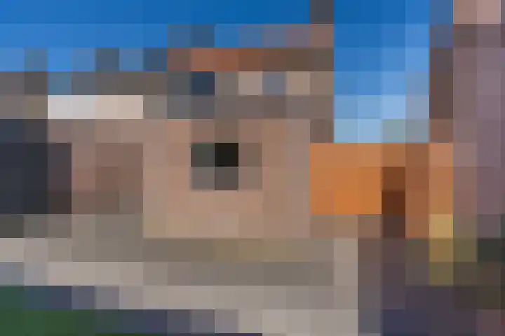 Hofstraat 24 Den Dungen thumbnail 17