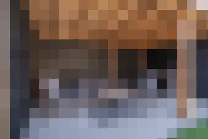 Hofstraat 24 Den Dungen thumbnail 18