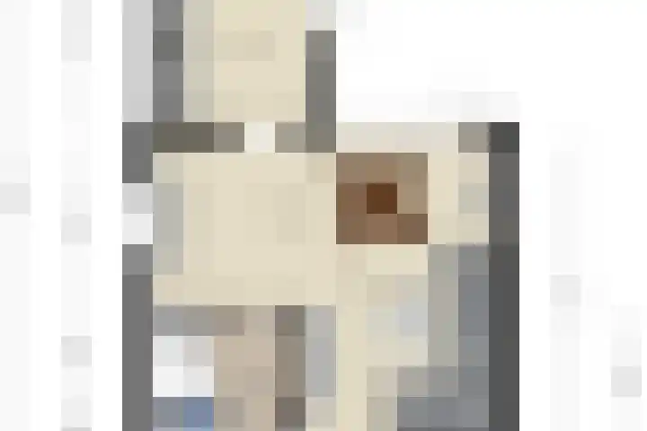 Hofstraat 24 Den Dungen thumbnail 23