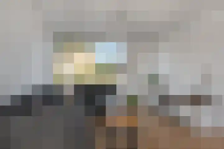Hofstraat 24 Den Dungen thumbnail 5