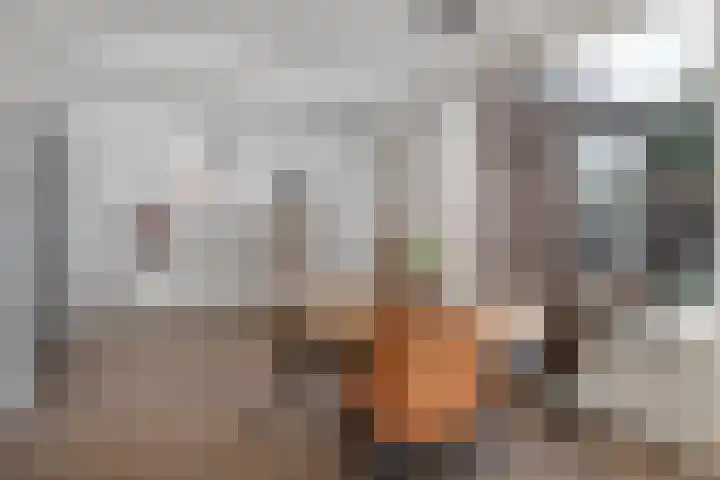 Hofstraat 24 Den Dungen thumbnail 7