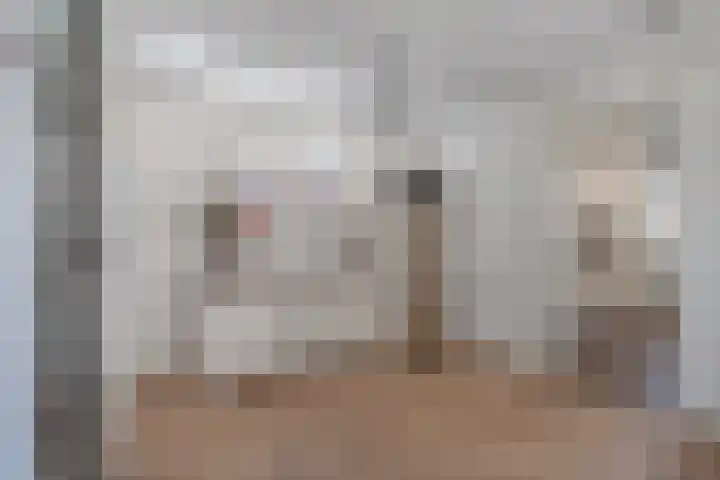 Hofstraat 24 Den Dungen thumbnail 8