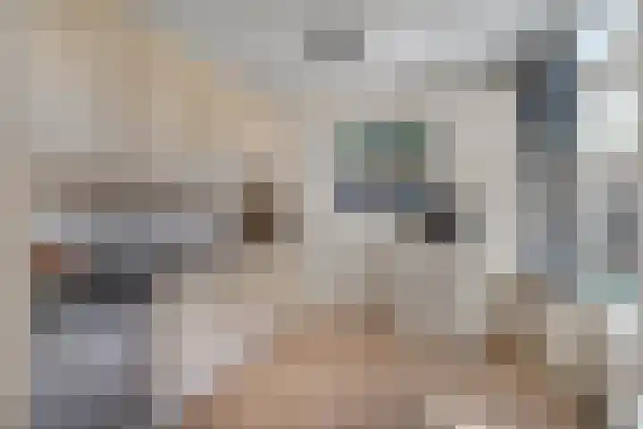 Hofstraat 24 Den Dungen thumbnail 9