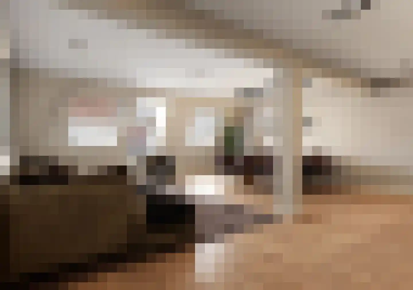Hofstraat 25 A Kampen thumbnail 4