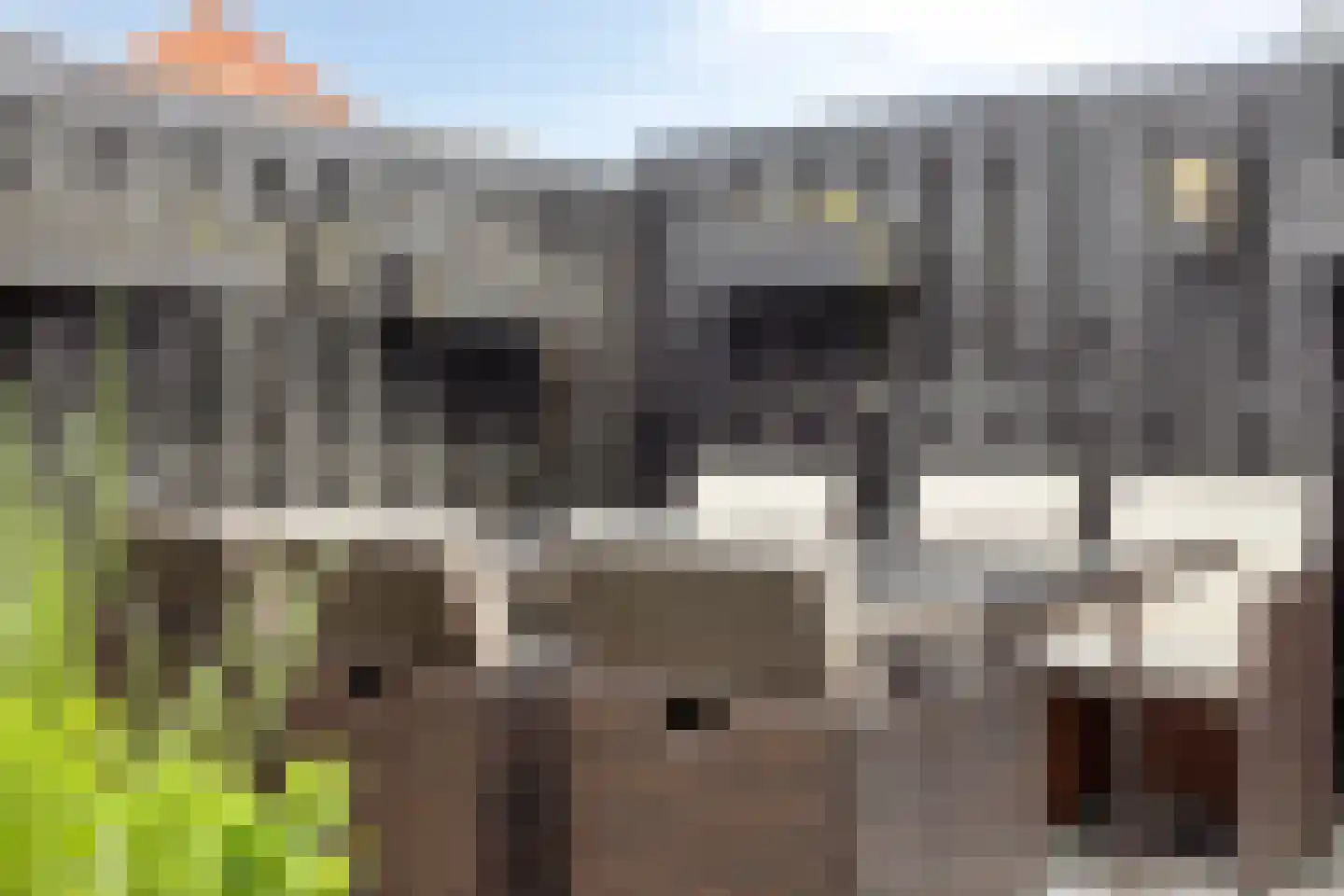 Hofstraat 26 Oldenzaal thumbnail 20