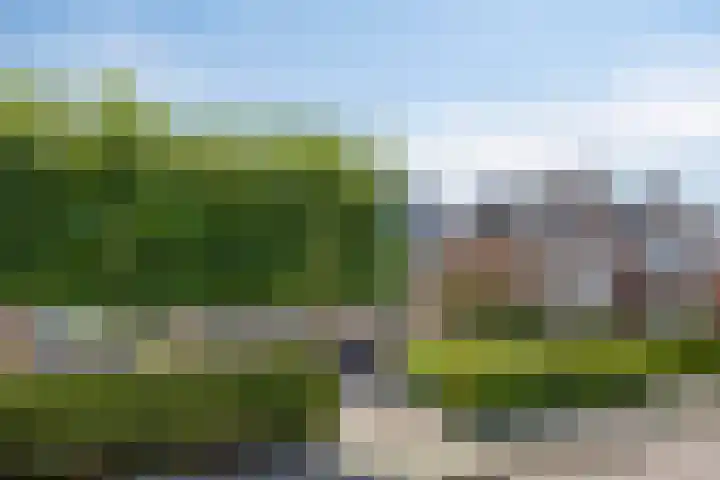 Hofstraat 26 Oud-Vossemeer thumbnail 11