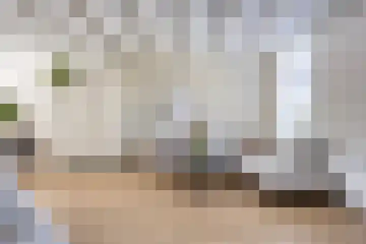 Hofstraat 26 Oud-Vossemeer thumbnail 17