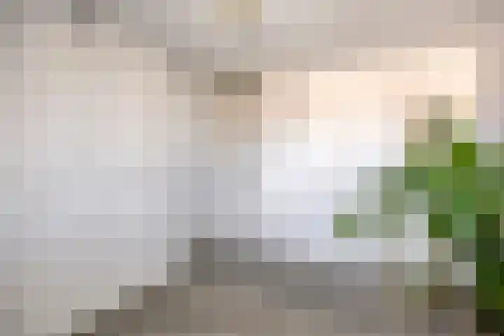 Hofstraat 26 Oud-Vossemeer thumbnail 35
