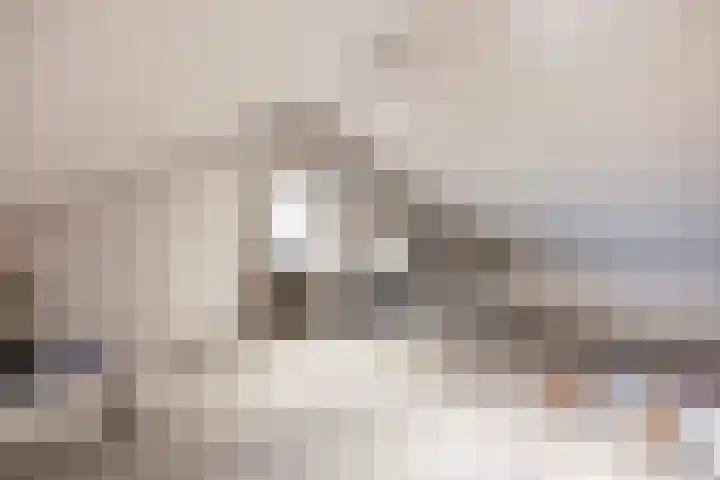Hofstraat 26 Oud-Vossemeer thumbnail 37