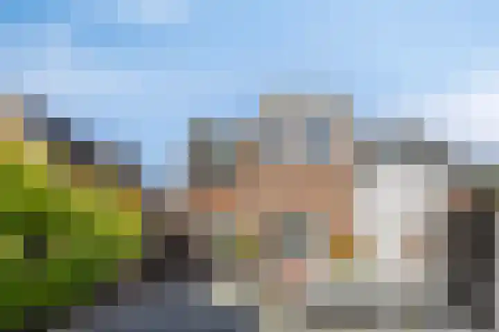 Hofstraat 26 Oud-Vossemeer thumbnail 7