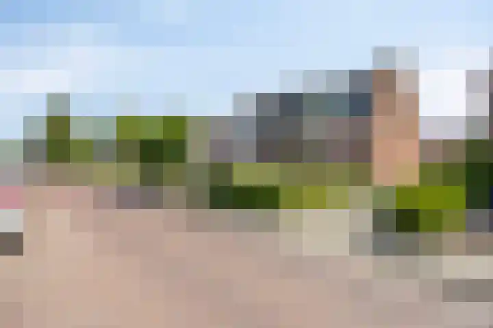 Hofstraat 26 Oud-Vossemeer thumbnail 9