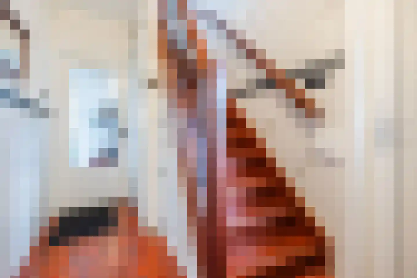 Hofstraat 27 Wouw thumbnail 12